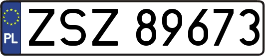 ZSZ89673