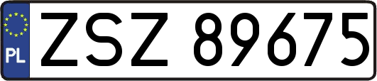 ZSZ89675