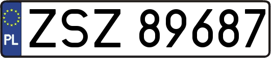 ZSZ89687