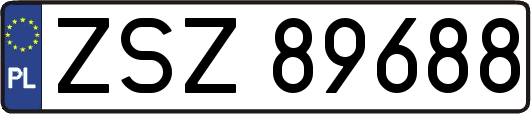 ZSZ89688