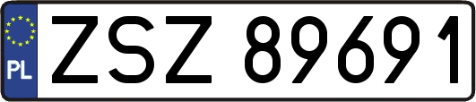 ZSZ89691