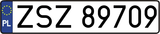 ZSZ89709