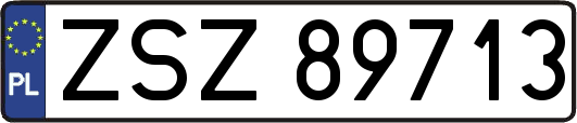 ZSZ89713