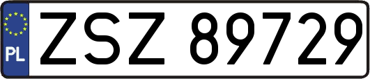 ZSZ89729
