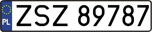 ZSZ89787