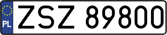 ZSZ89800