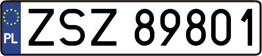 ZSZ89801
