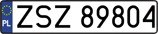 ZSZ89804