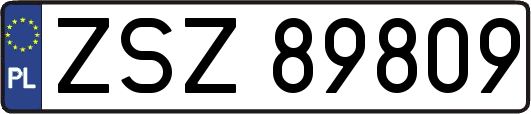ZSZ89809