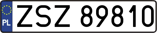 ZSZ89810