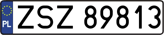 ZSZ89813