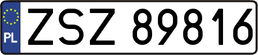 ZSZ89816