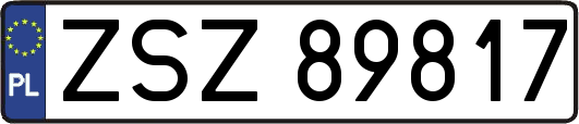 ZSZ89817