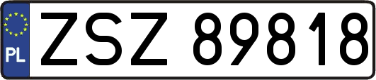 ZSZ89818