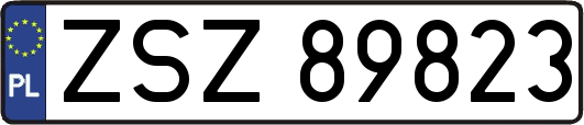ZSZ89823