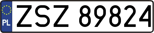 ZSZ89824