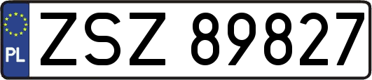 ZSZ89827