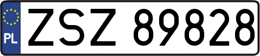 ZSZ89828