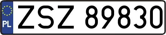 ZSZ89830