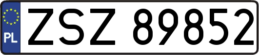 ZSZ89852