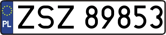 ZSZ89853