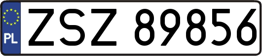 ZSZ89856