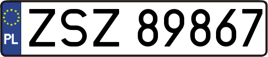 ZSZ89867