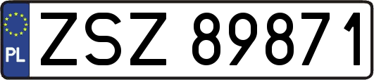 ZSZ89871