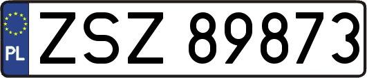 ZSZ89873