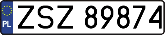 ZSZ89874
