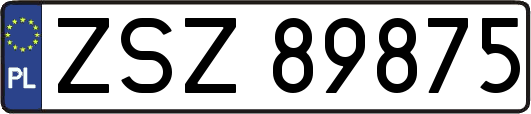 ZSZ89875