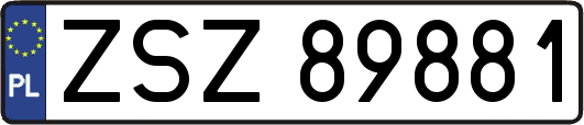 ZSZ89881