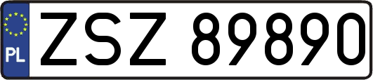 ZSZ89890