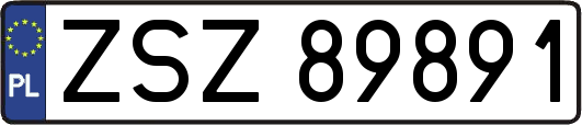 ZSZ89891