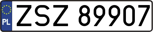 ZSZ89907