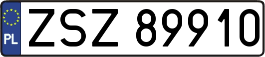 ZSZ89910