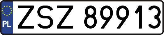 ZSZ89913
