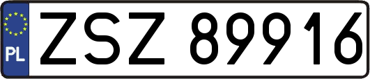 ZSZ89916