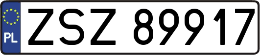 ZSZ89917