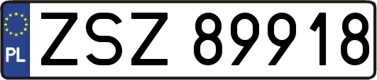 ZSZ89918