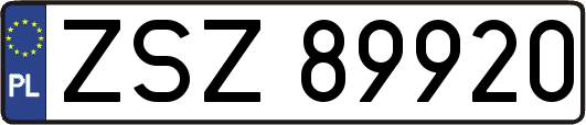 ZSZ89920