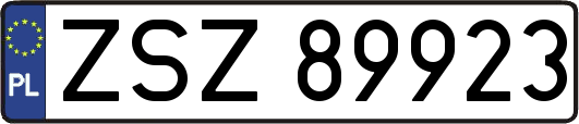 ZSZ89923