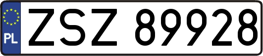 ZSZ89928