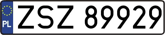 ZSZ89929