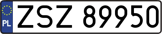 ZSZ89950