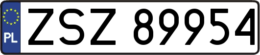 ZSZ89954