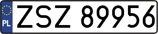 ZSZ89956
