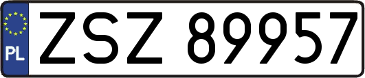 ZSZ89957
