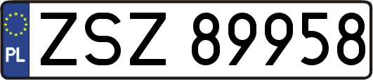 ZSZ89958