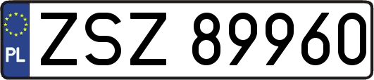 ZSZ89960